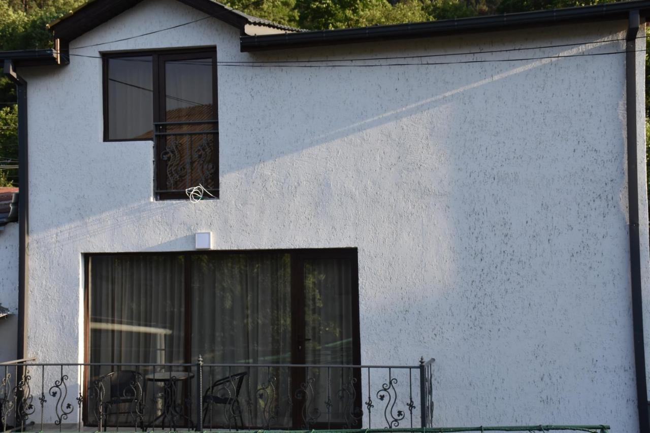 Eleana Vila Borjomi Exterior foto
